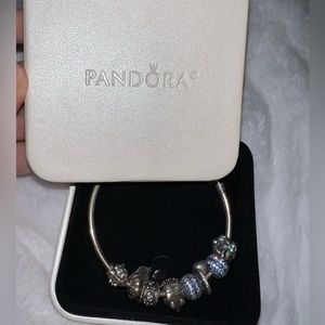 Pandora Charm Bracelet